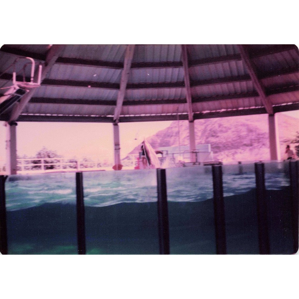 Vintage 1970s Sea Life Park Hawaii Dolphin Seal Show Lot of 6 Photos 3.5x5 - Picture 3 of 6